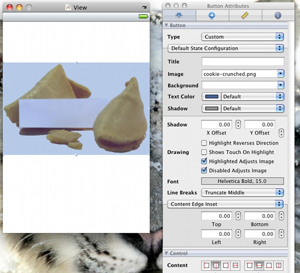 Broken Fortune Cookie Placeholder