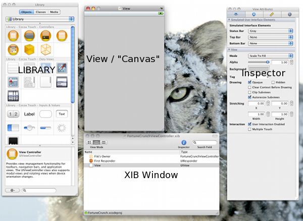 Interface Builder Screen